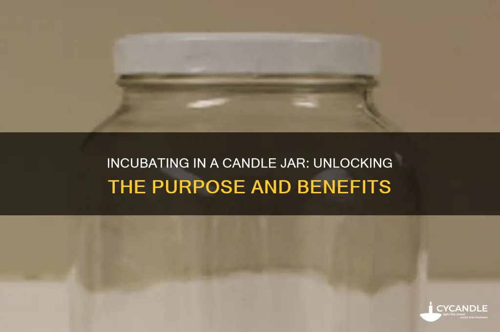 what is the purpose of incubating in a candle jar