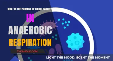 Liquid Paraffin's Role in Anaerobic Respiration: A Comprehensive Guide