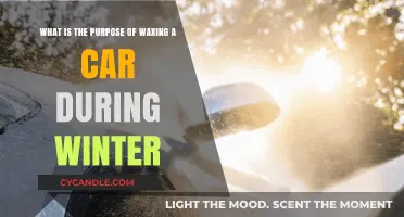Winter Car Care: The Importance of Waxing Your Vehicle