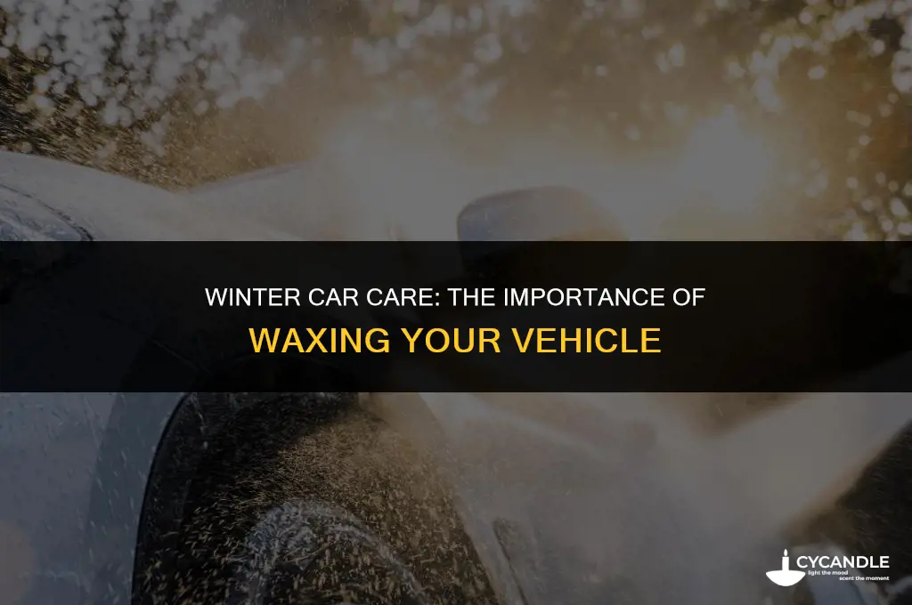 what is the purpose of waxing a car during winter