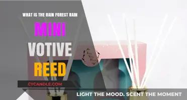 Exploring the Rainforest: The Mini Votive Reed Experience
