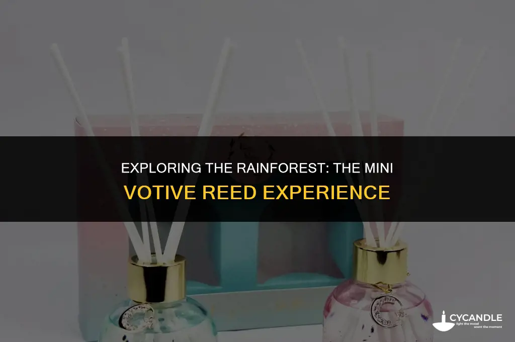 what is the rain forest rain mini votive reed