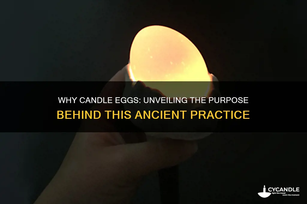 what is the reason to candle eggs
