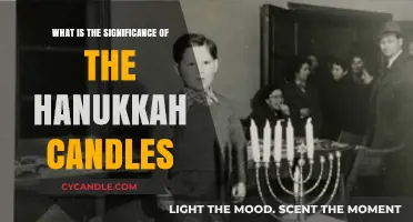 Hanukkah Candles: Illuminating the Miracle and Meaning of the Festival