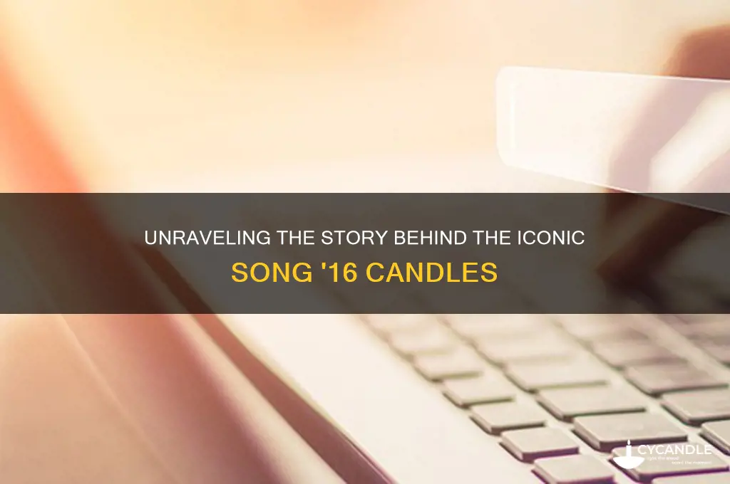 what is the song 16 candles about