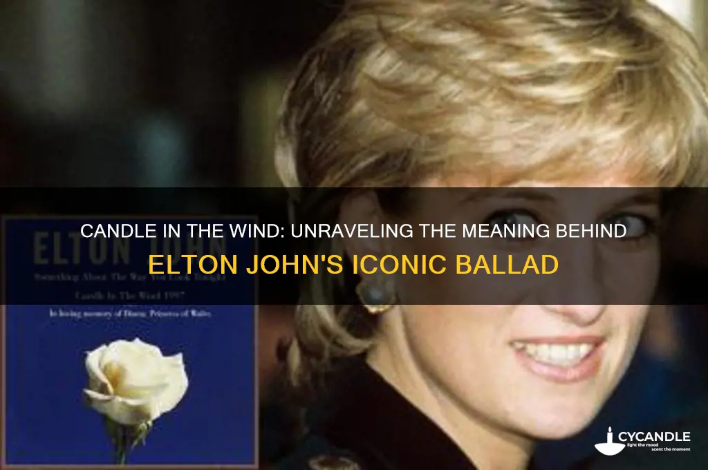 what is the song candle in the wind abou t