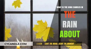 Candles in the Rain: Unveiling the Meaning Behind Melanie's Iconic Song