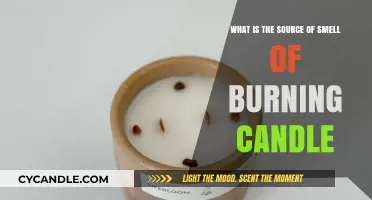 Unveiling the Science Behind the Aromatic Scent of Burning Candles