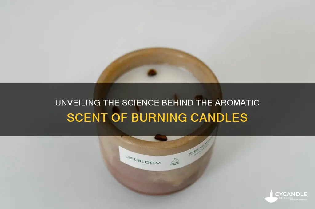 what is the source of smell of burning candle