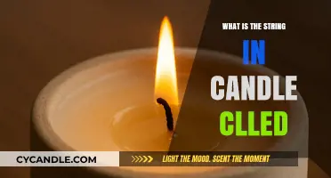 Understanding the Wick: The Essential String in Every Candle