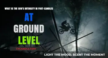 Understanding Sunlight Intensity: Measuring Foot-Candles at Ground Level