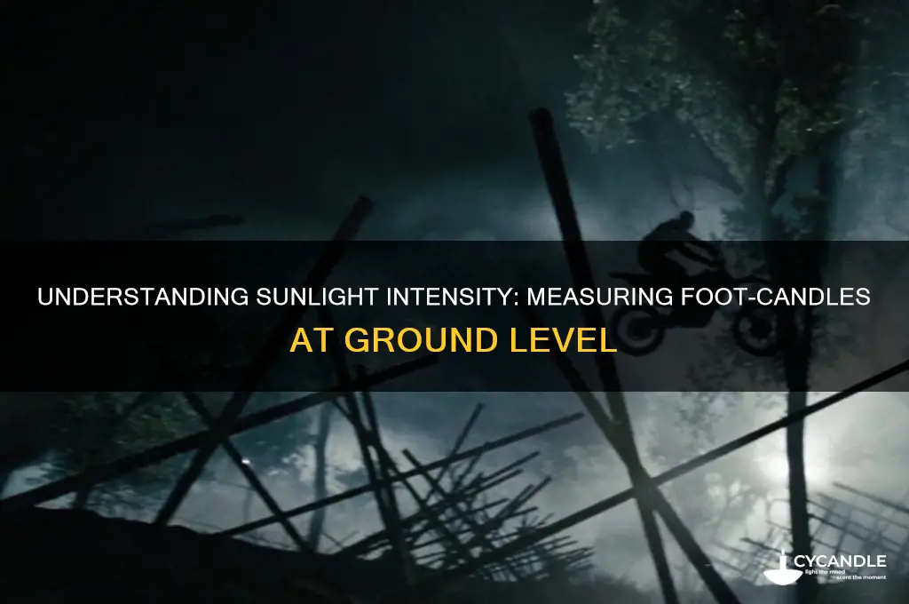 what is the sun