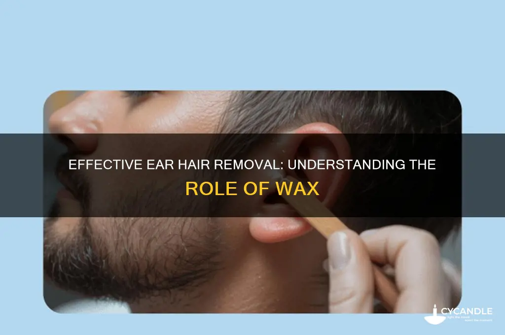 what is the wax used to remove ear hair