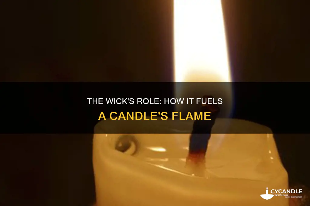 what is the wick ina candle do