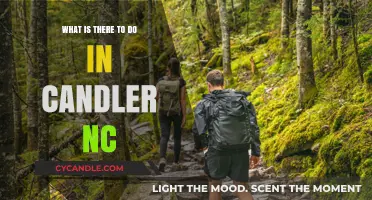 Exploring Candler, NC: Top Activities, Attractions, and Hidden Gems