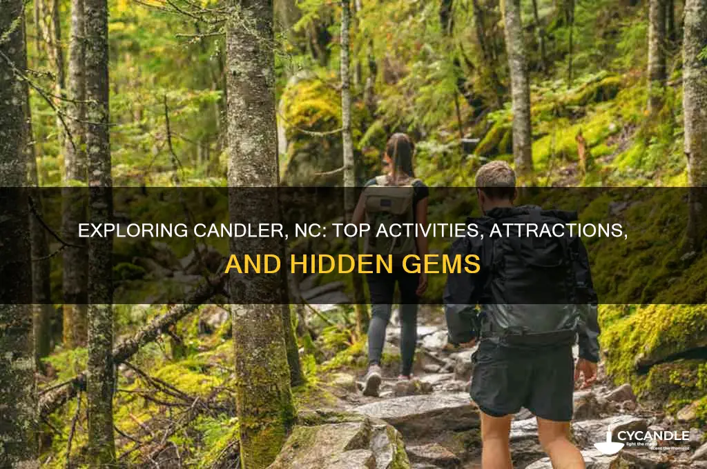 what is there to do in candler nc