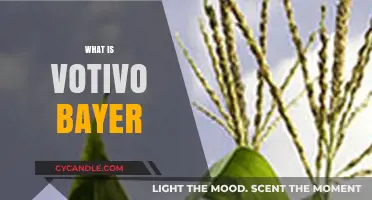 Exploring Votivo Bayer: Uses, Benefits, and Potential Side Effects