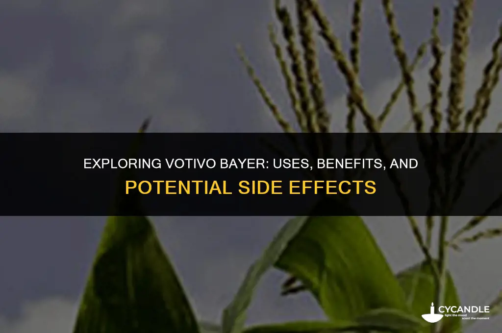 what is votivo bayer