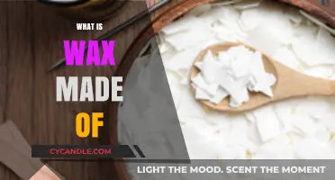 Unveiling the Secrets: What's Really Inside That Waxy Substance?