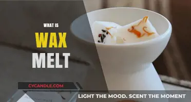 Unveiling the Magic: What is Wax Melt and How Does it Work?