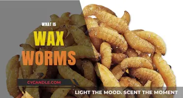 Unveiling the Fascinating World of Waxworms: Nature's Little Recyclers