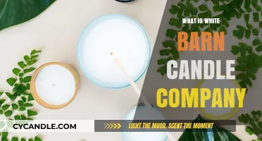 Discovering White Barn Candle Company: History, Products, and Unique Scents