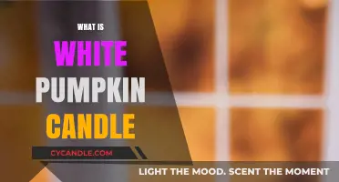 Discover the Warmth of White Pumpkin Candles: A Cozy Guide