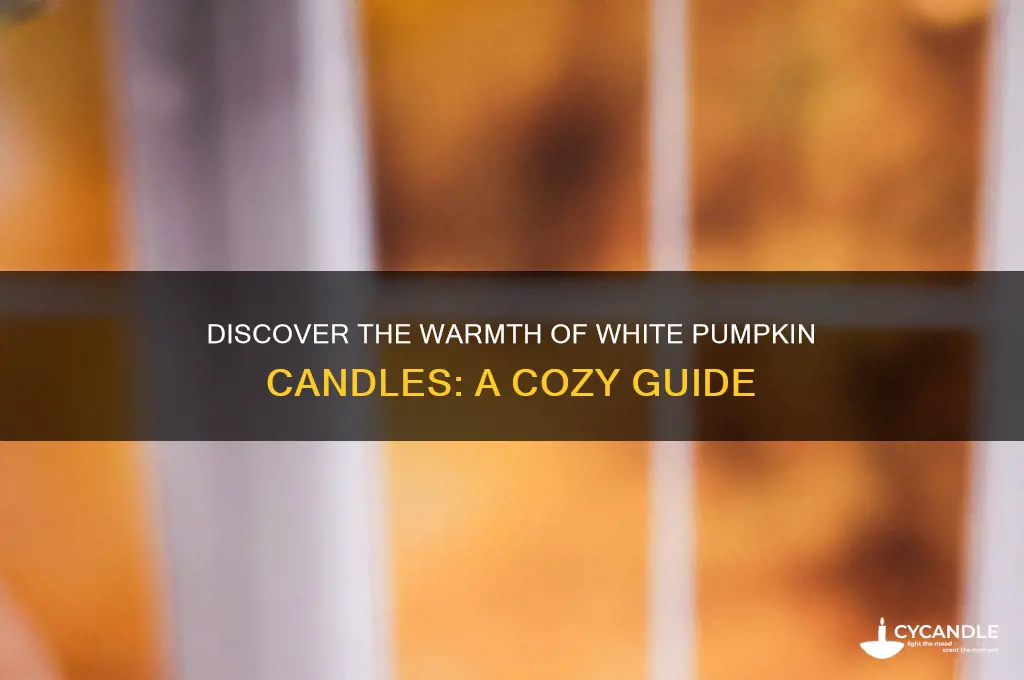 what is white pumpkin candle