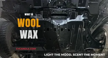 Unveiling the Natural Marvels: What is Wool Wax?