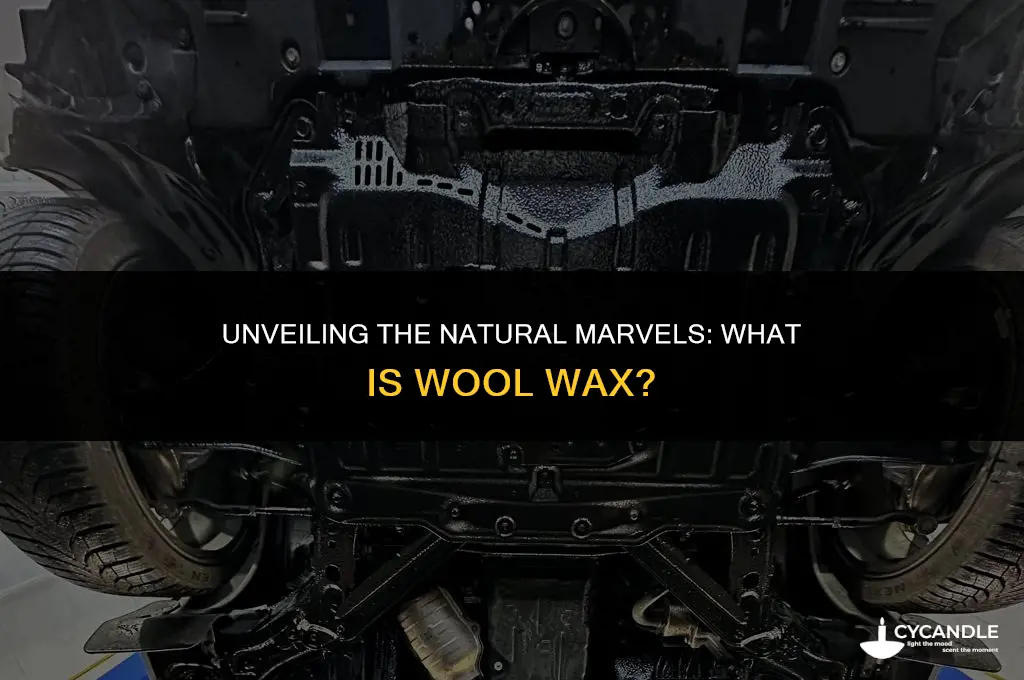 what is wool wax