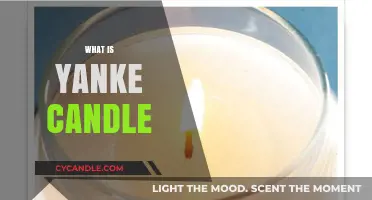 Discover the Scent-sational World of Yankee Candle: A Complete Guide