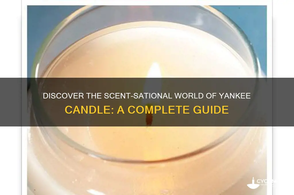 what is yanke candle