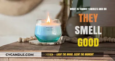 Yankee Candles: Aroma Appeal and Scented Satisfaction Explained