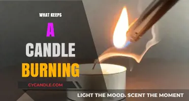 The Science Behind a Candle's Flame: What Fuels Its Glow