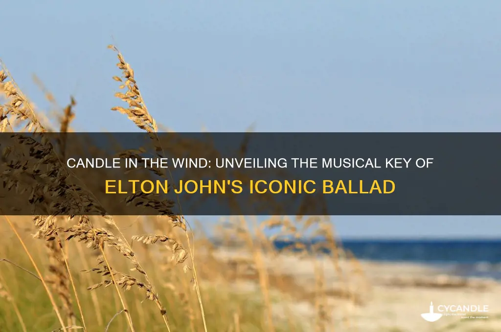 what key is candle in the wind