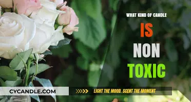 Discover the Safest: Non-Toxic Candles for a Healthy Home