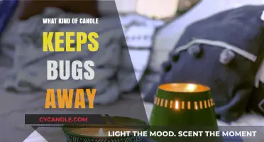 Natural Bug Repellent Candles: Best Scents to Keep Insects Away