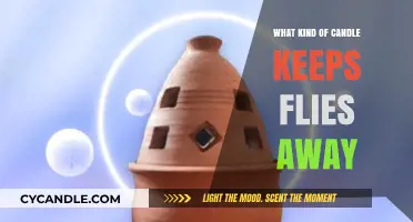 Natural Fly Repellent: Best Candles to Keep Bugs at Bay