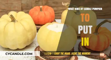 Choosing the Perfect Pumpkin Candle: Scent, Size, and Style Guide