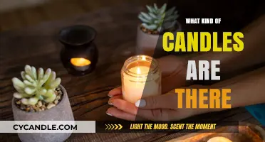 Exploring the Diverse World of Candle Types and Varieties