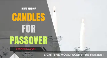 Choosing the Right Candles for Your Passover Seder Celebration