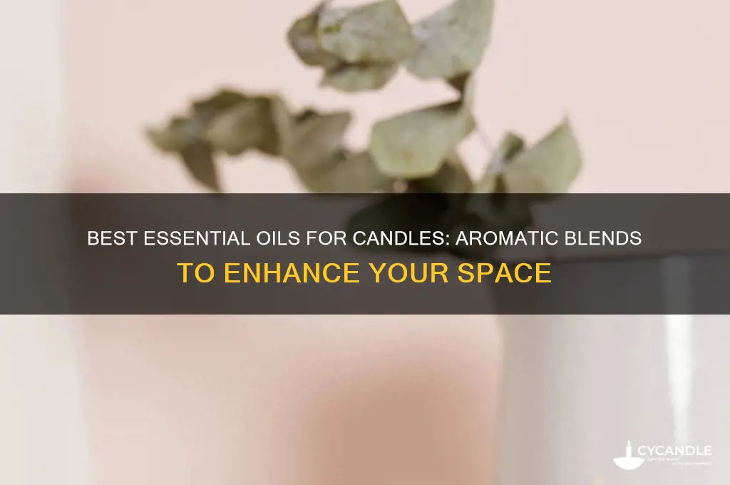 what kind of essential oils for candles