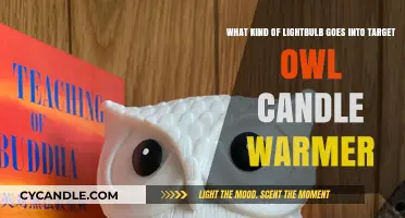 Best Lightbulb for Target Owl Candle Warmer: A Complete Guide