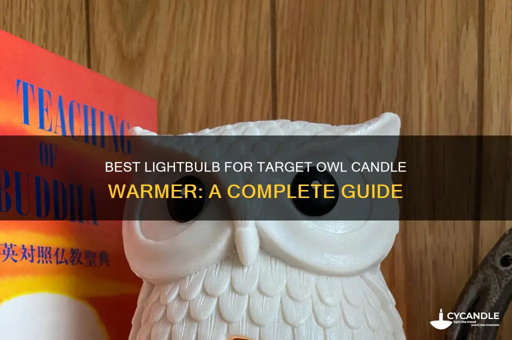 what kind of lightbulb goes into target owl candle warmer