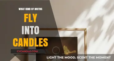 Why Do Certain Moths Fly Into Candles? Unraveling the Mystery