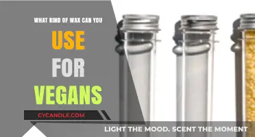 Vegan-Friendly Wax Options: Sustainable Choices for Cruelty-Free Living
