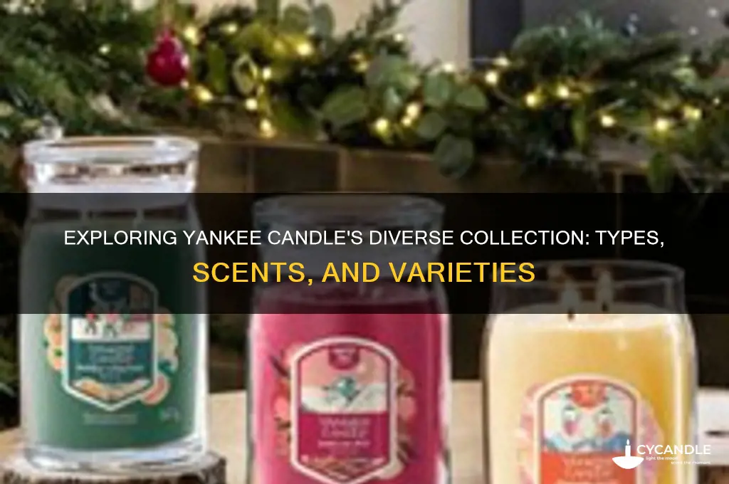 what kinda of candles do yankee sell