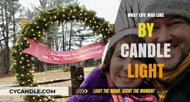 Glimpses of the Past: Living and Thriving by Candlelight