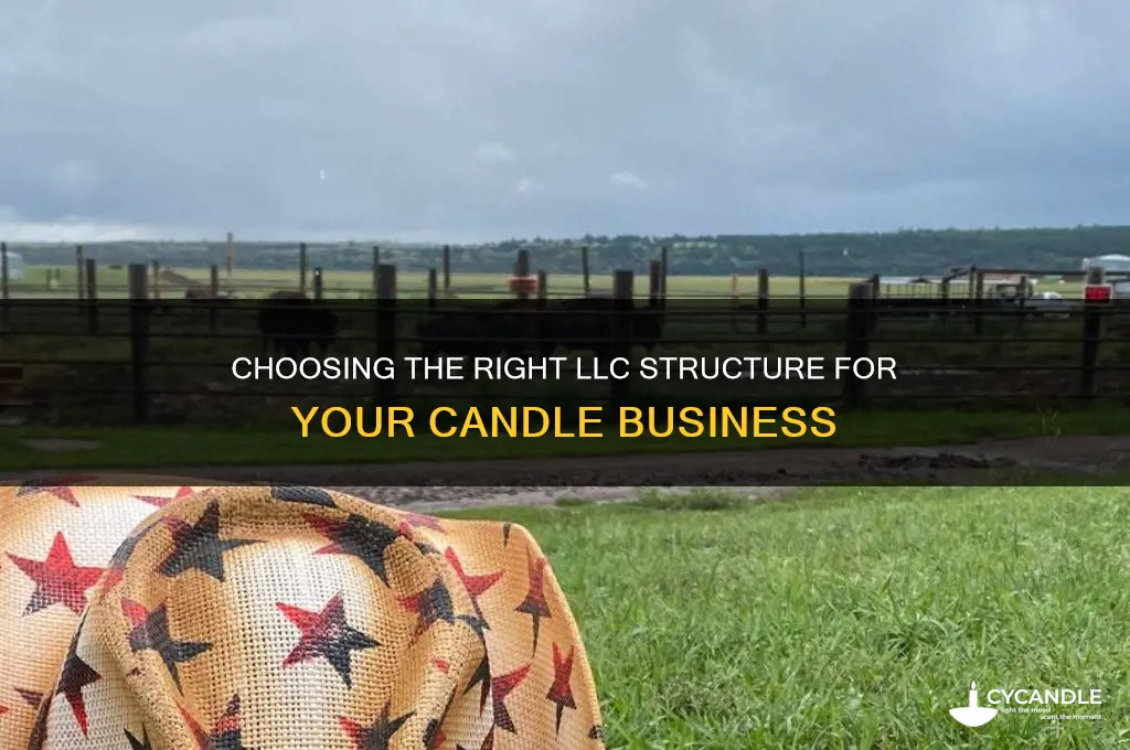 what llc do i need to sell candles