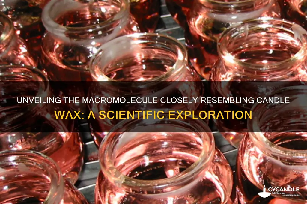 what macromolecule is most similar to candle wax